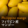 フィリピン産マンゴー