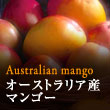 オーストラリア産マンゴー